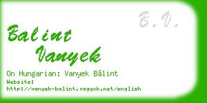 balint vanyek business card
